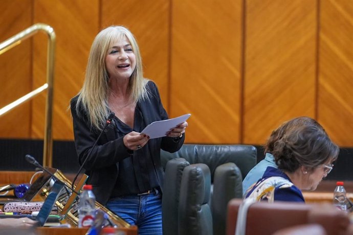 La consejera de Desarrollo Educativo y Formación Profesional de la Junta de Andalucía, Patricia del Pozo, en el Pleno del Parlamento del 16 de mayo de 2024.