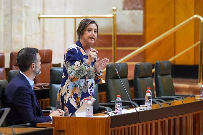 La consejera de Salud y Consumo de la Junta de Andalucía, Catalina García, en el Pleno del Parlamento del 16 de mayo de 2024.