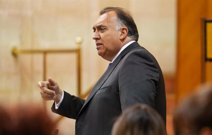 El consejero de Turismo, Cultura y Deporte de la Junta de Andalucía, Arturo Bernal, en el Pleno del Parlamento del 16 de mayo de 2024.