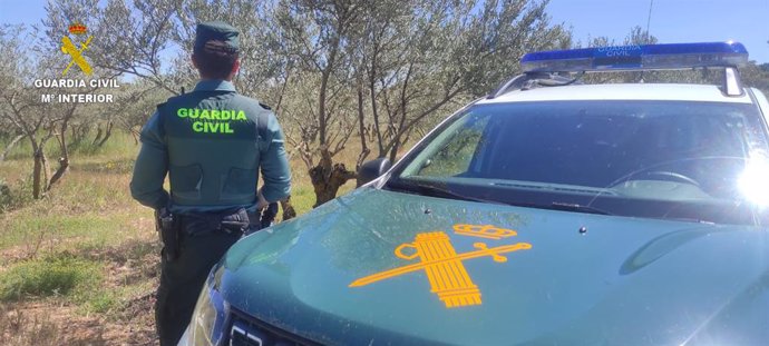 Agente de la Guardia Civil junto a su coche.