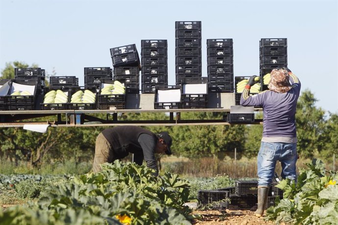 Mallorca Rural organiza los nuevos premios Rural'GO para impulsar la consolidación de empresas.