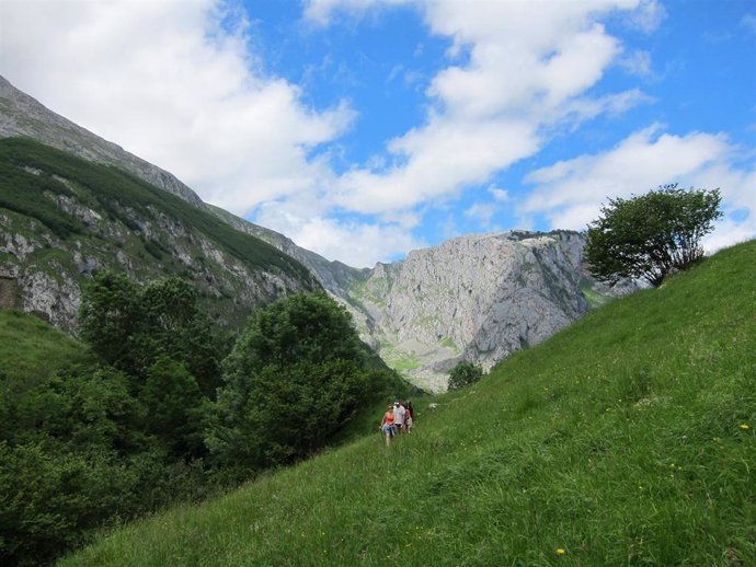 Archivo - Picos de Europa