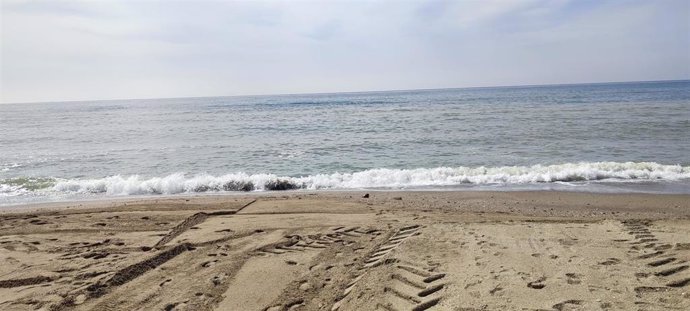 Archivo - Imagen de archivo de una playa de Málaga.