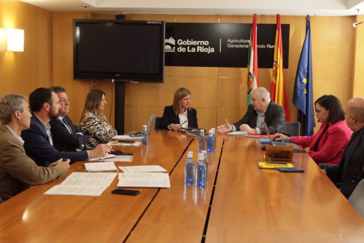 El Gobierno de La Rioja presenta medidas cautelares con el objetivo de parar a tiempo la línea Tauste-Júndiz
