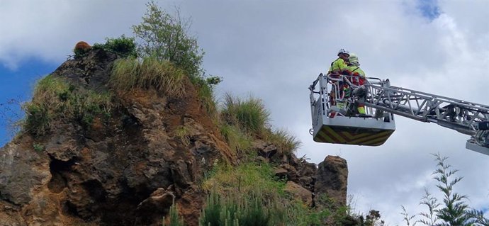 Rescate de un joven oso de Cabárceno que quedó en un risco y que falleció tras no poder superar los efectos de la anestesia