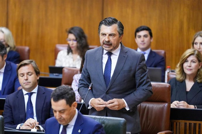 El portavoz parlamentario del PP-A, Toni Martín, este jueves en el Pleno durante su pregunta al presidente de la Junta de Andalucía, Juanma Moreno. 