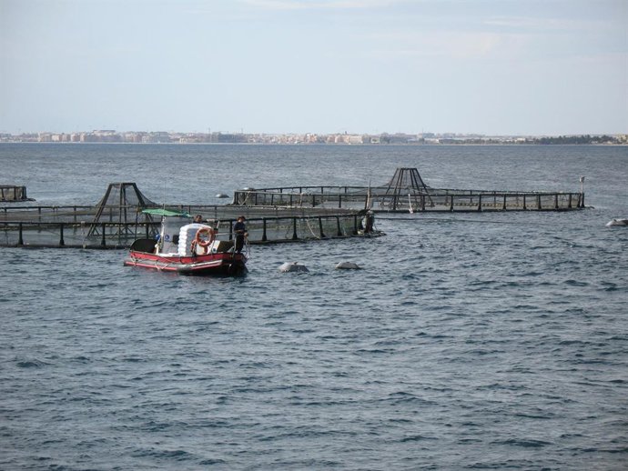 Foto de archivo de acuicultura.