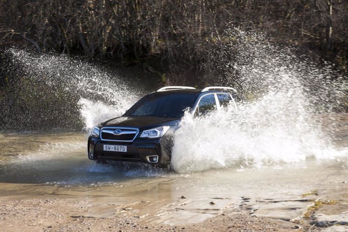 Archivo - Subaru Forester.