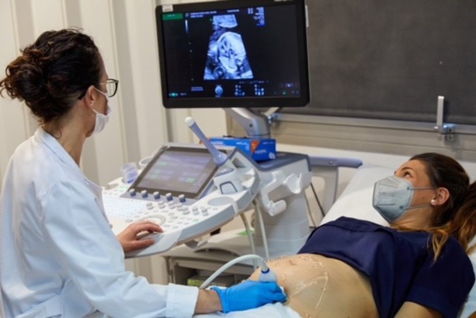 Osakidetza incluye una nueva prueba no invasiva para mujeres embarazadas a su Programa de Cribado Prenatal