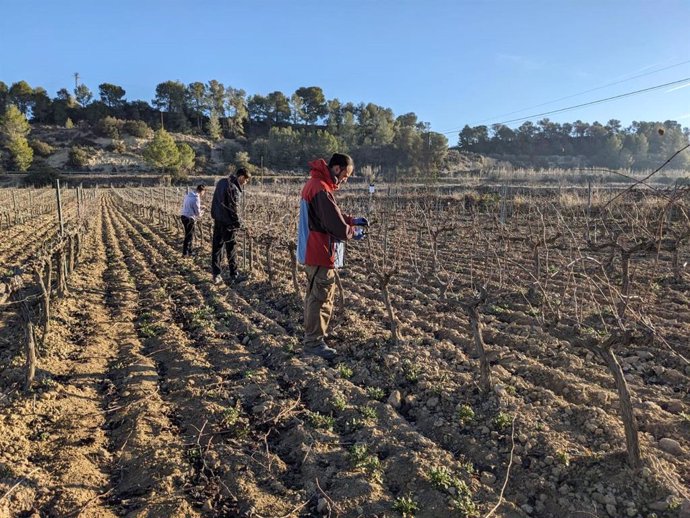 Alumnos de los ciclos formativos de las Escoles Agràries.