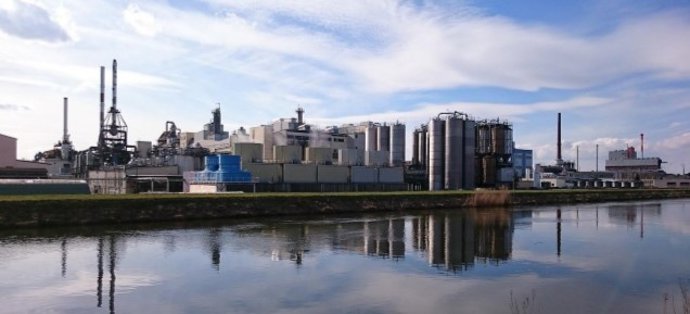La acumulación de minerales en los sistemas de agua genera inconvenientes en diversas industrias.