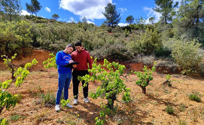 Un proyecto evalúa la recuperación de campos abandonados en Venta del Moro para prevenir incendios