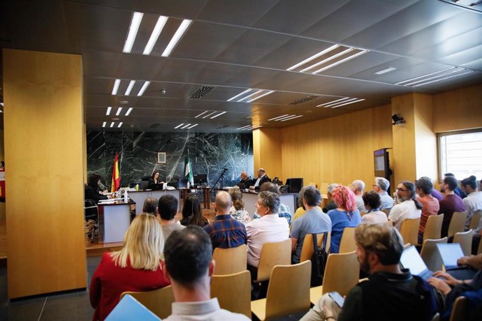 Vista oral a los acusados de realizar pintadas en el hotel del paraje del Algarrobico en una acción revindicativa de Greenpeace en Carboneras (Almería). 