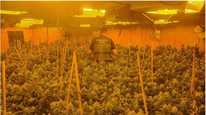 Plantación de marihuana desmantelada en un chalé de lujo de Monachil.