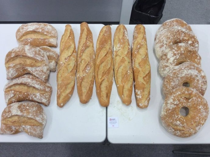 Archivo - Arxiu - Panadeía