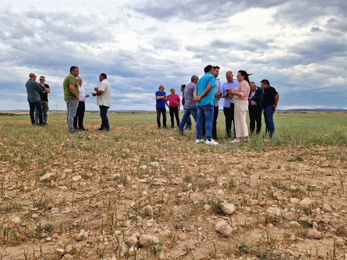 El Gobierno de Aragón ha fijado las 12 zonas afectadas por la sequía.