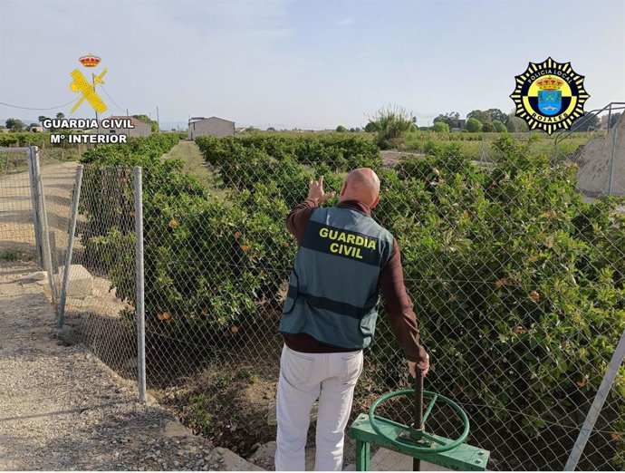 Investigan a dos personas tras ser sorprendidas cuando robaban 250 kilos de cítricos en Rojales (Alicante)