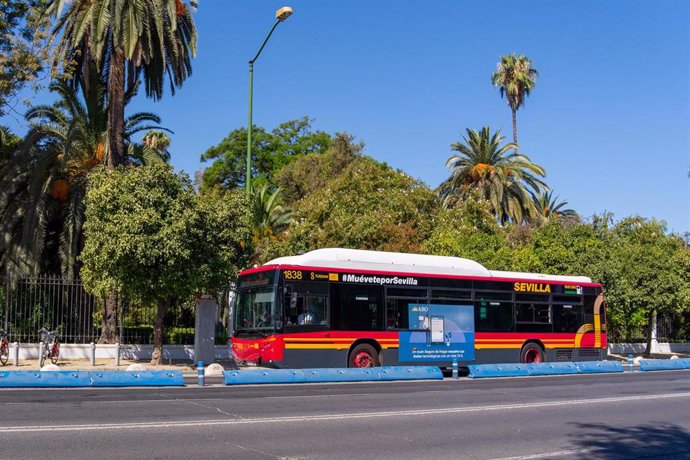 Archivo - Un autobús de Tussam circula por la avenida de La Palmera.