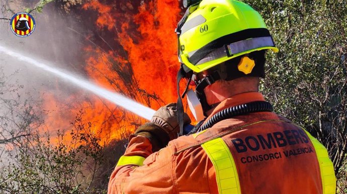 Dotaciones terrestres y aéreas movilizadas a un incendio forestal en un barranco en Torrent (Valencia)