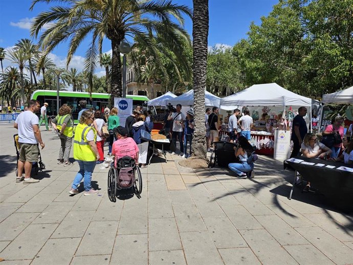 Día de la Accesibilidad Universal en el Parc de la Mar.