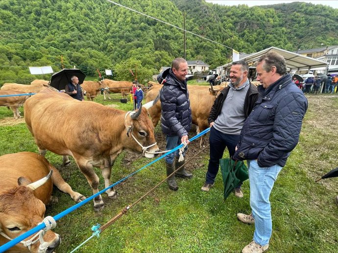 El Consejero De Medio Rural Y Política Agraria, Marcelino Marcos, En La Feria De Xedré En Cangas De Narcea.