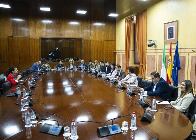 Archivo - Sesión de la comisión de Presidencia, Interior, Diálogo Social y Simplificación Administrativa del Parlamento andaluz. (Foto de archivo).