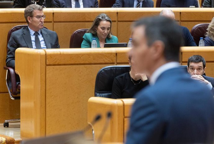 Archivo - El líder del PP, Alberto Núñez Feijóo y la secretaria general del PP, Cuca Gamarra, durante una intervención del presidente del Gobierno, en una sesión extraordinaria del Congreso, en el Palacio del Senado, a 18 de enero de 2024, en Madrid (Espa