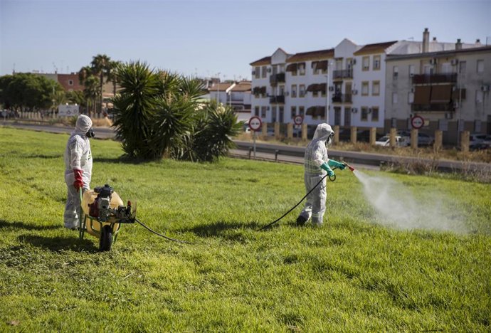 Archivo - Dos trabajadores durante las labores de fumigación contra los mosquitos causantes del virus del Nilo 