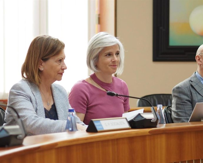 La portavoz de Industria e Enerxía del PSdeG, Patricia Iglesias.