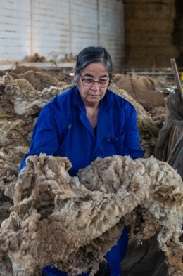 La escenógrafa Isa Soto con lana de oveja lojeña seleccionada para su lavado, primer paso de todo el proceso.