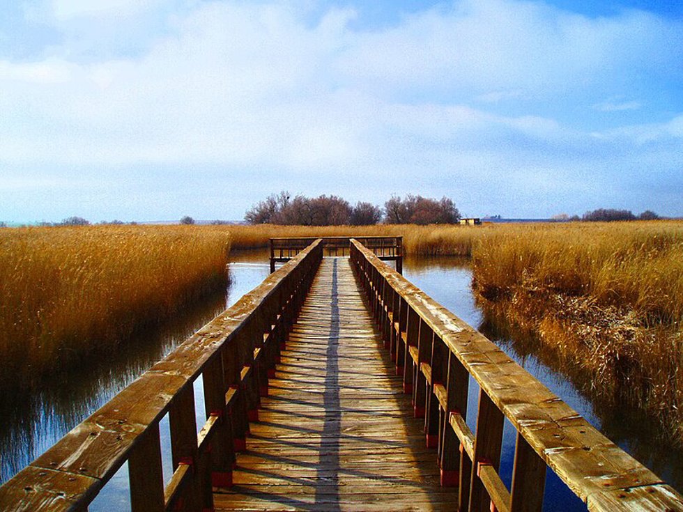 Las Tablas de Daimiel