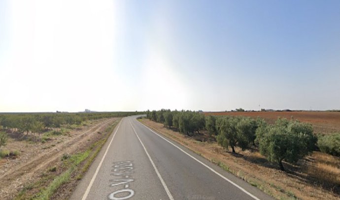 Carretera donde ha tenido lugar el accidente en Palma del Río.