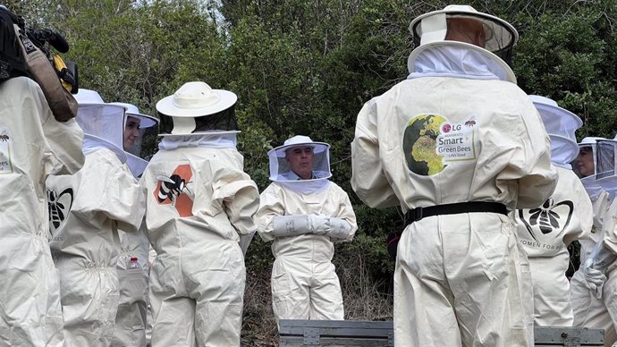 Apicultores de la iniciativa 'Smart Green Bees' de LG España, cuyo objetivo es repoblar 48 millones de abejas ibéricas en España.