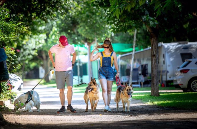 Las reservas de campings con mascotas en España crecen un 60% para este verano, según la FEEC.