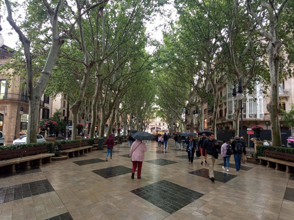 Varias personas pasean por el centro de Palma en un día de lluvia.