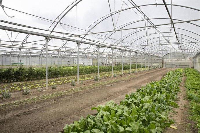 Archivo - Imagen de las huertas de Elkarkide