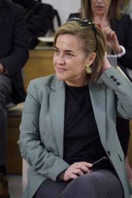 Archivo - La delegada del Gobierno, Beatriz Arráiz