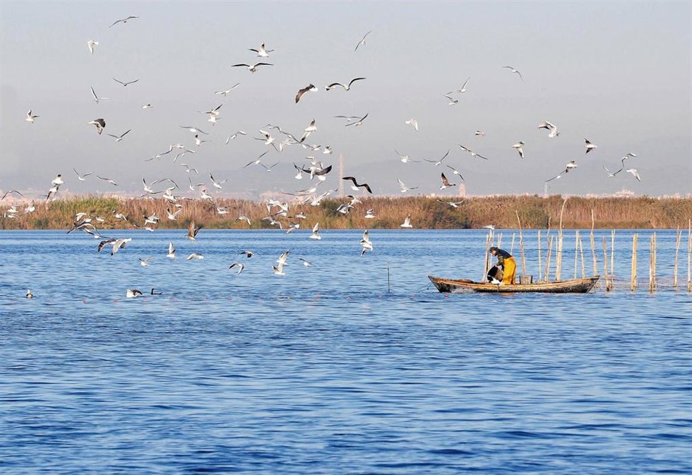 Archivo - Pesca tradicional en la Albufera de Valencia