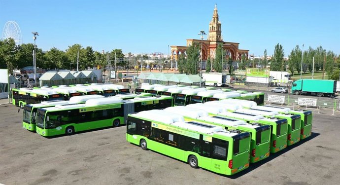 Archivo - Autobuses de Aucorsa en el aparcamiento de la Feria de Córdoba, en una imagen de archivo.