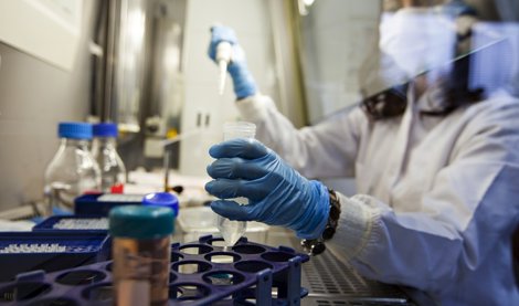 Investigación