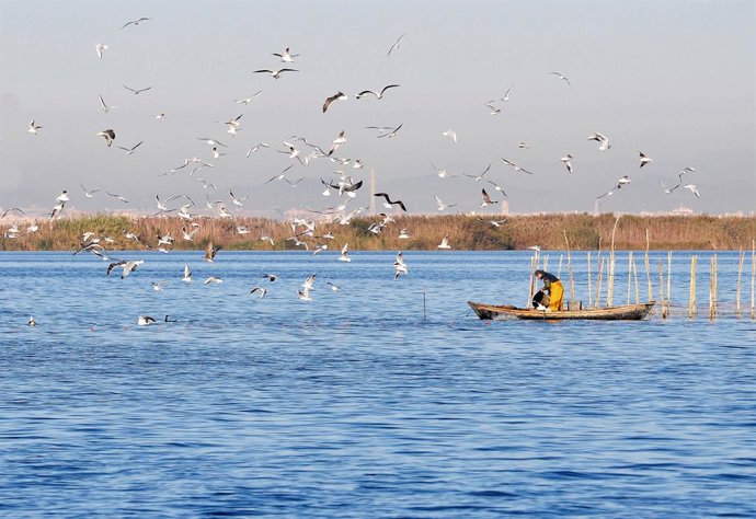 Archivo - Pesca tradicional en la Albufera de Valencia