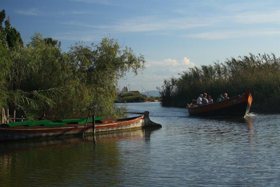 Archivo - Albufera