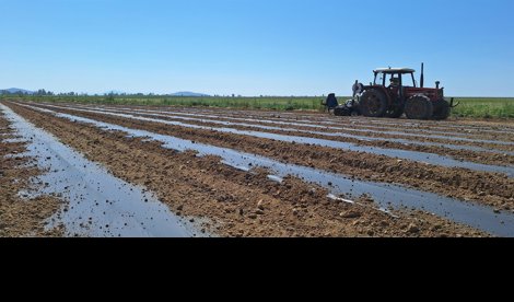 Comunicados Sociedad