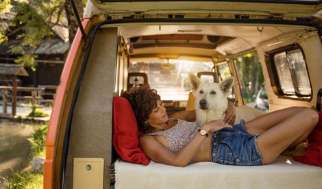 Comunicados Sociedad