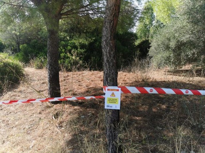 Zonas intervenidas por el Ayuntamiento de Puerto Real para controlar la presencia de mosquitos con Virus de la Fiebre del Nilo.