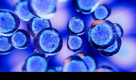 Comunicados Internacional