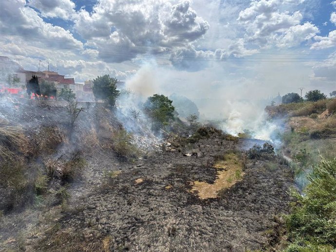 Bomberos estabilizan un incendio de vegetación junto a un colegio en Torrent (Valencia)