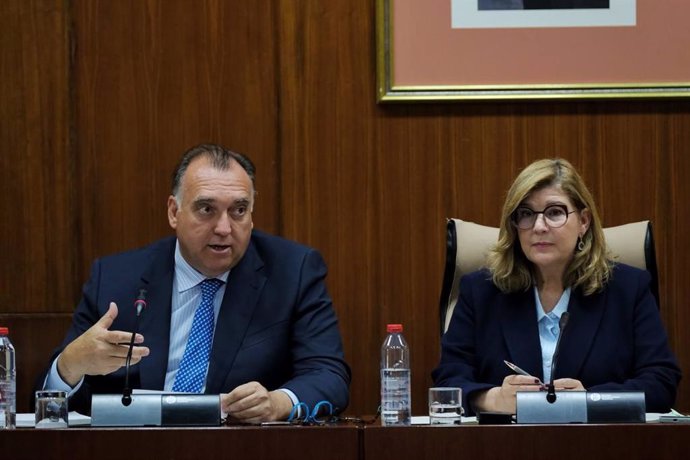 El consejero de Turismo, Cultura y Deporte, Arturo Bernal, durante su comparecencia en la comisión.