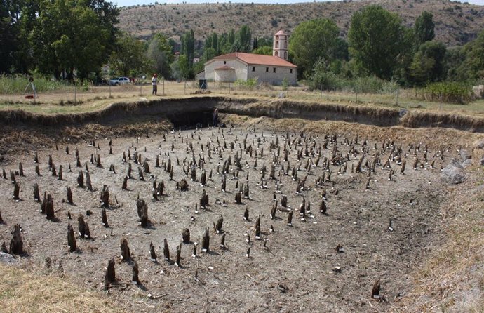 El campo de pilotes en el sitio de Dispilio. Se tomaron muestras y se midieron dendrocronológicamente casi 800 pilotes, en su mayoría de madera de enebro y roble.