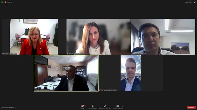 Captura de pantalla de la apertura del seminario web.